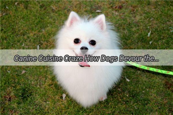 Canine Cuisine Craze How Dogs Devour the KenFordelicious Treats